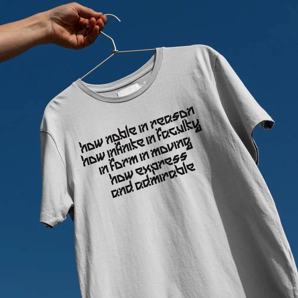 Light gray t-shirt on a hanger held by a hand against a blue sky, with black text reading: 'how noble in reason, how infinite in faculty, in form in moving, how express and admirable'.